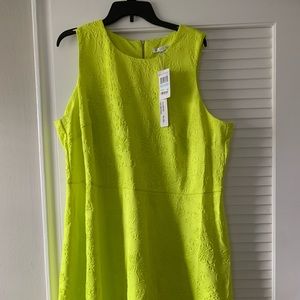 Bright green scuba style dress